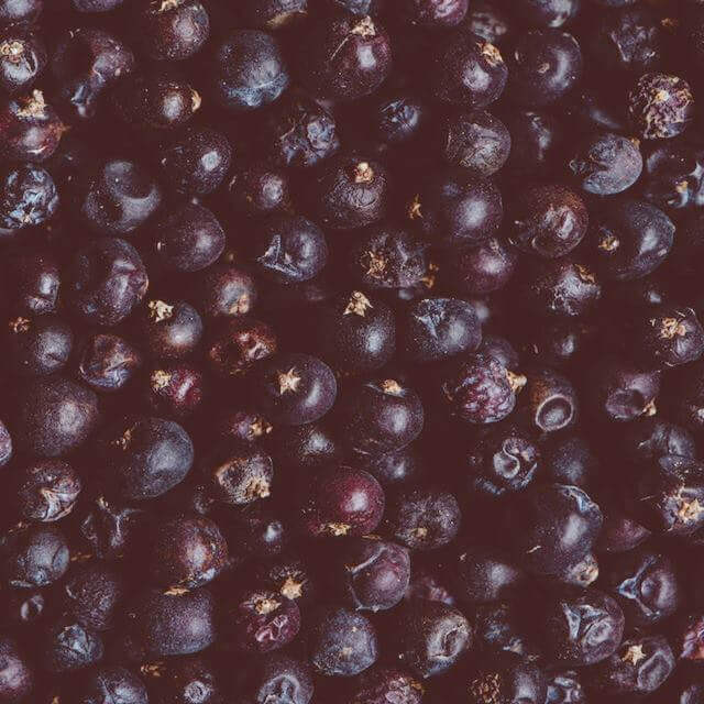 자보티카바 먹는 법