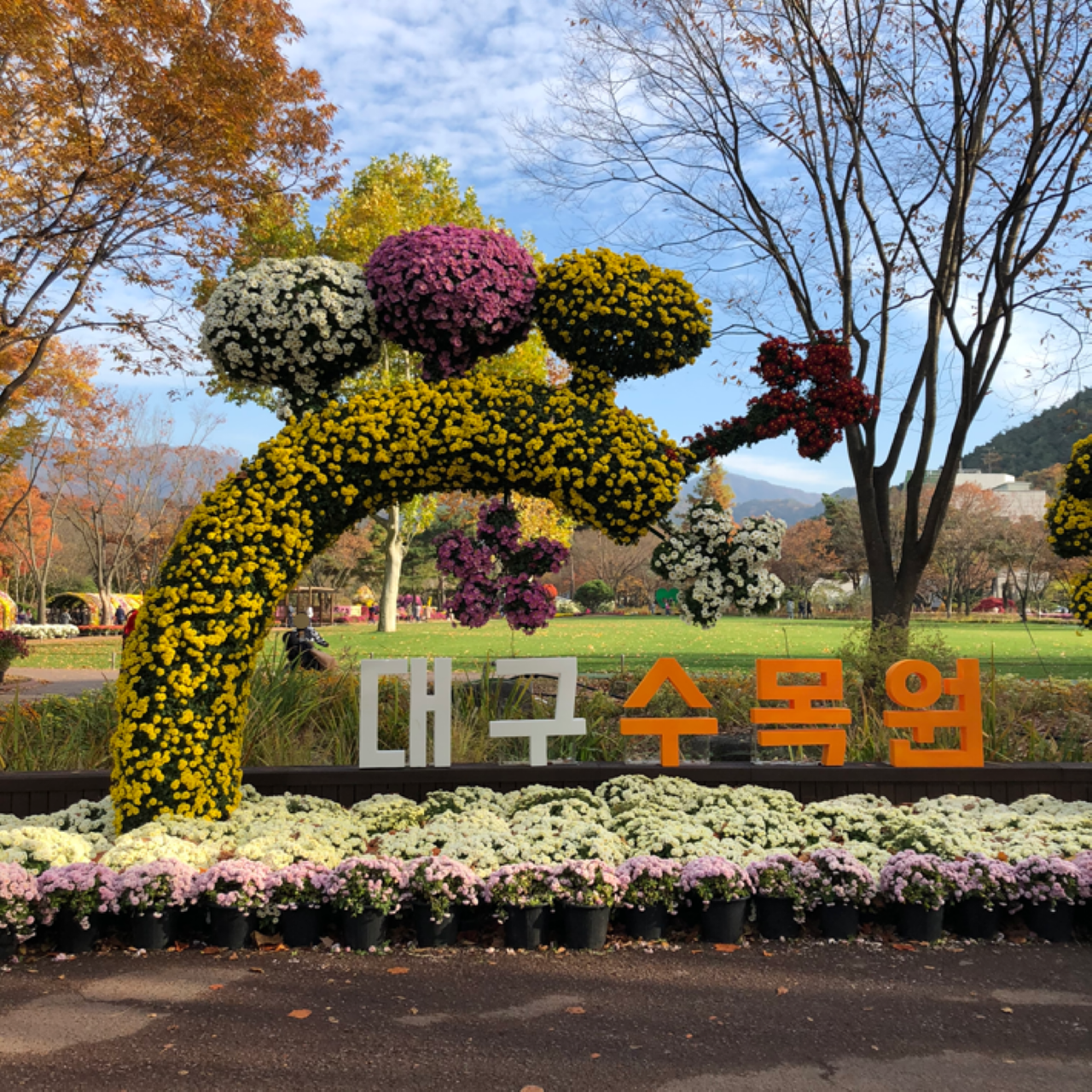 대구 수목원