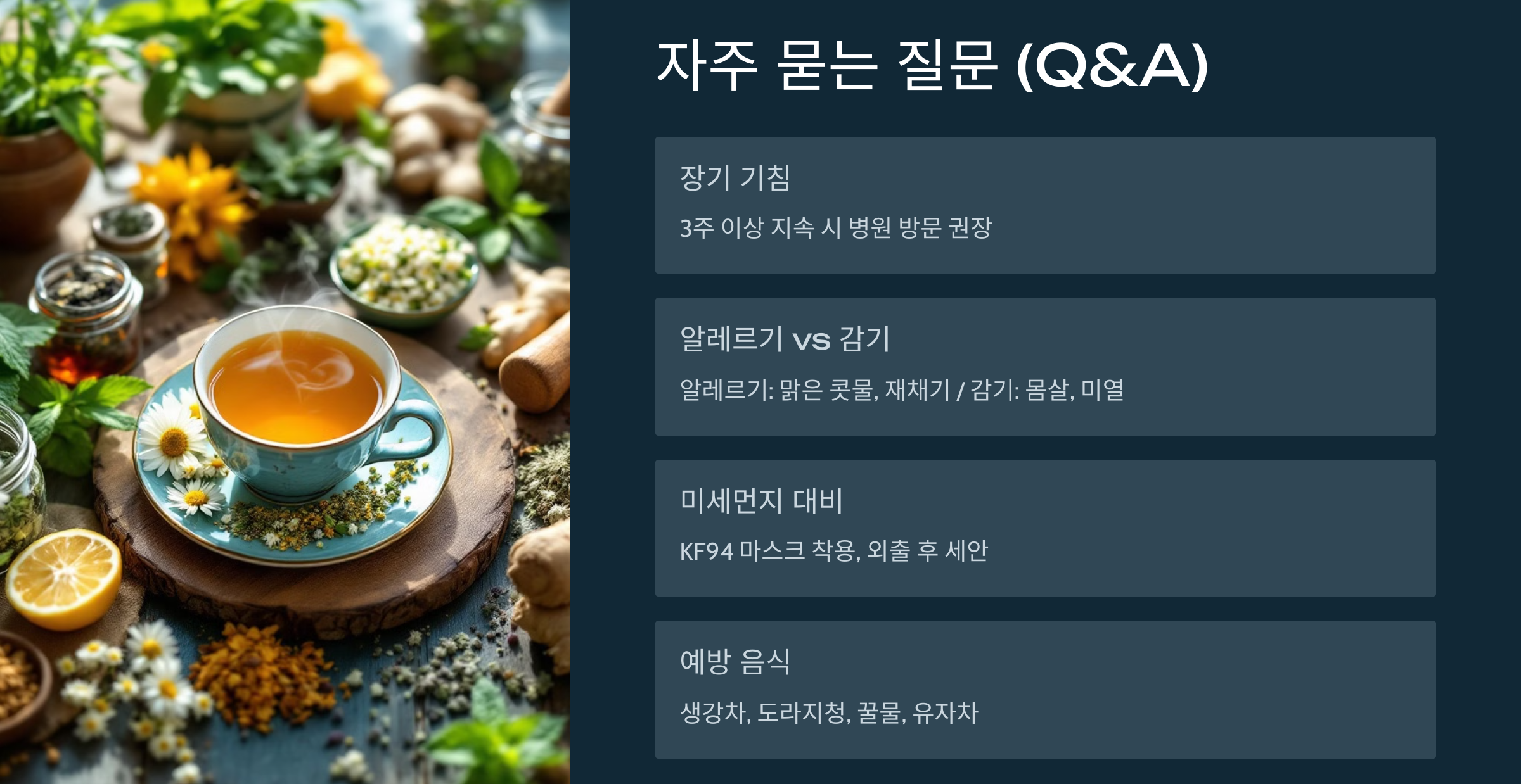 자주 묻는 질문