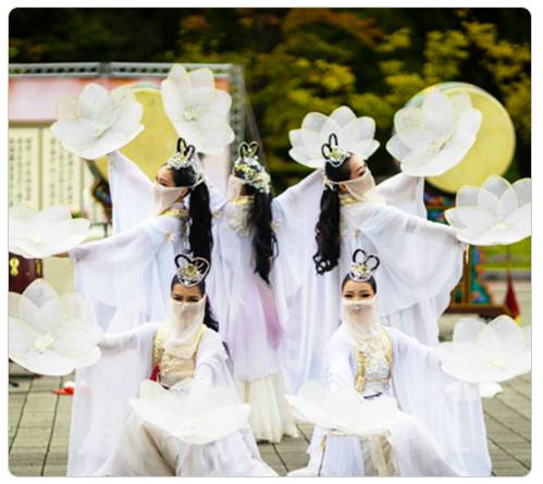 강원 세계산림엑스포