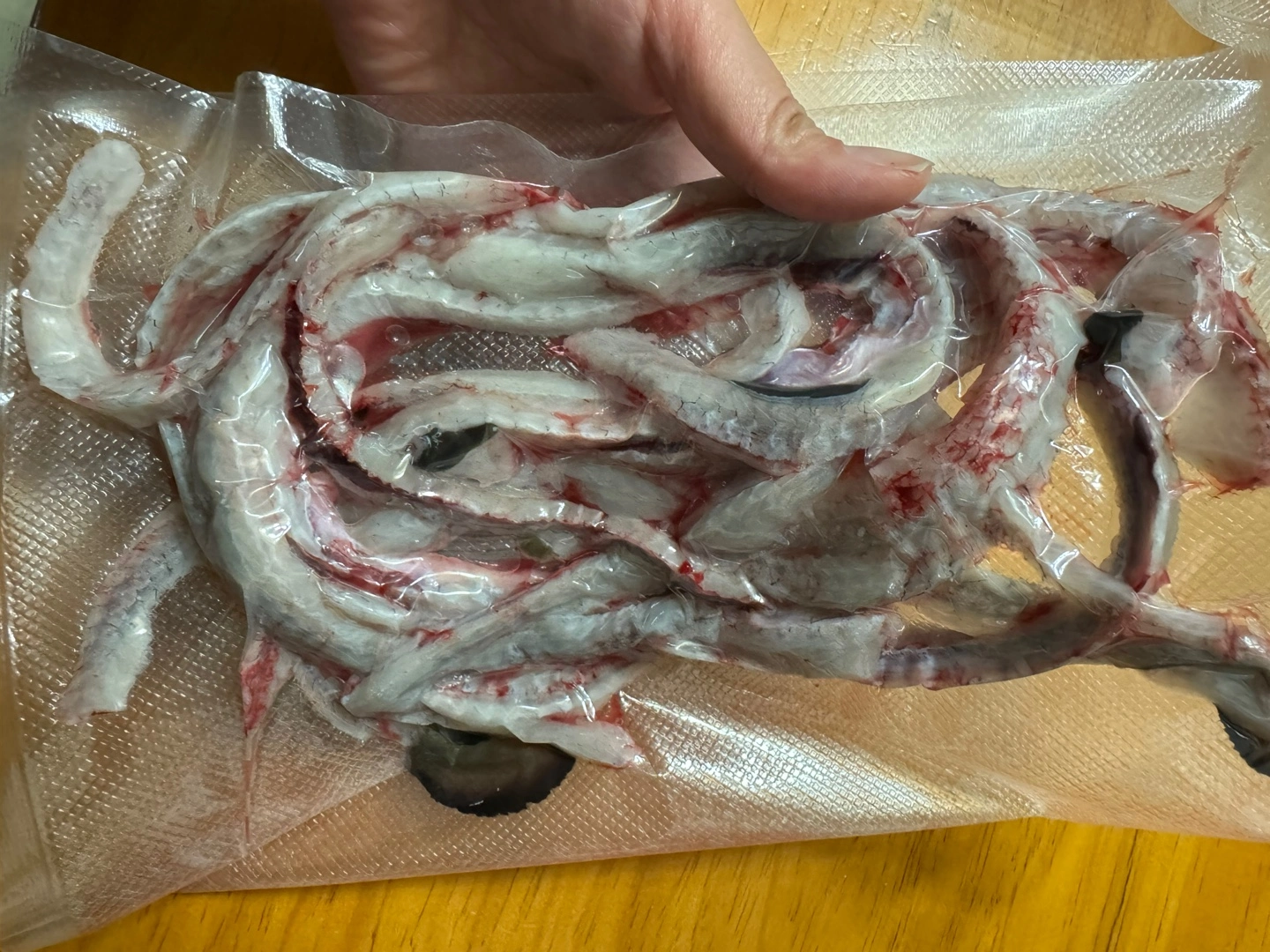 자연산 민물장어 가격이 너무 좋아요~ 자연산 장어는 자주 접하지 못하는 거 같은데 큰 이유가 아무래도 비싼 가격이 아닐까 행각해요~ 그런데 이게 웬걸 가격이 너무 좋았고 맛이 얼마나 쫀득거리는지 안 먹어본 사람은 절대 모르는 그 식감이 있어요. 그럼 민물장어와 바다 장어 차이와 왜 민물장어가 비싼지도 궁금하겠지요? 내 돈 내산후기!