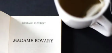이상과 현실 사이에서 마담 보바리