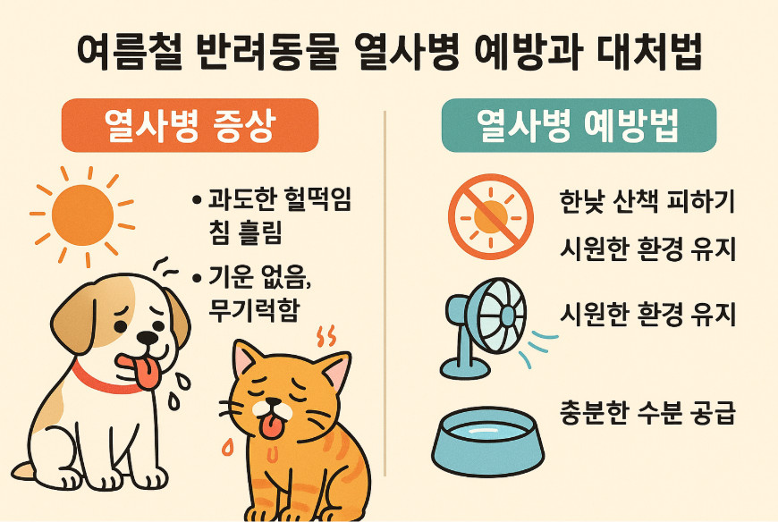 여름철 반려동물 열사병 예방