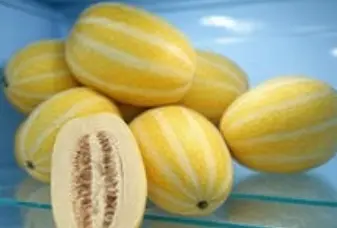 참외-보관방법-2