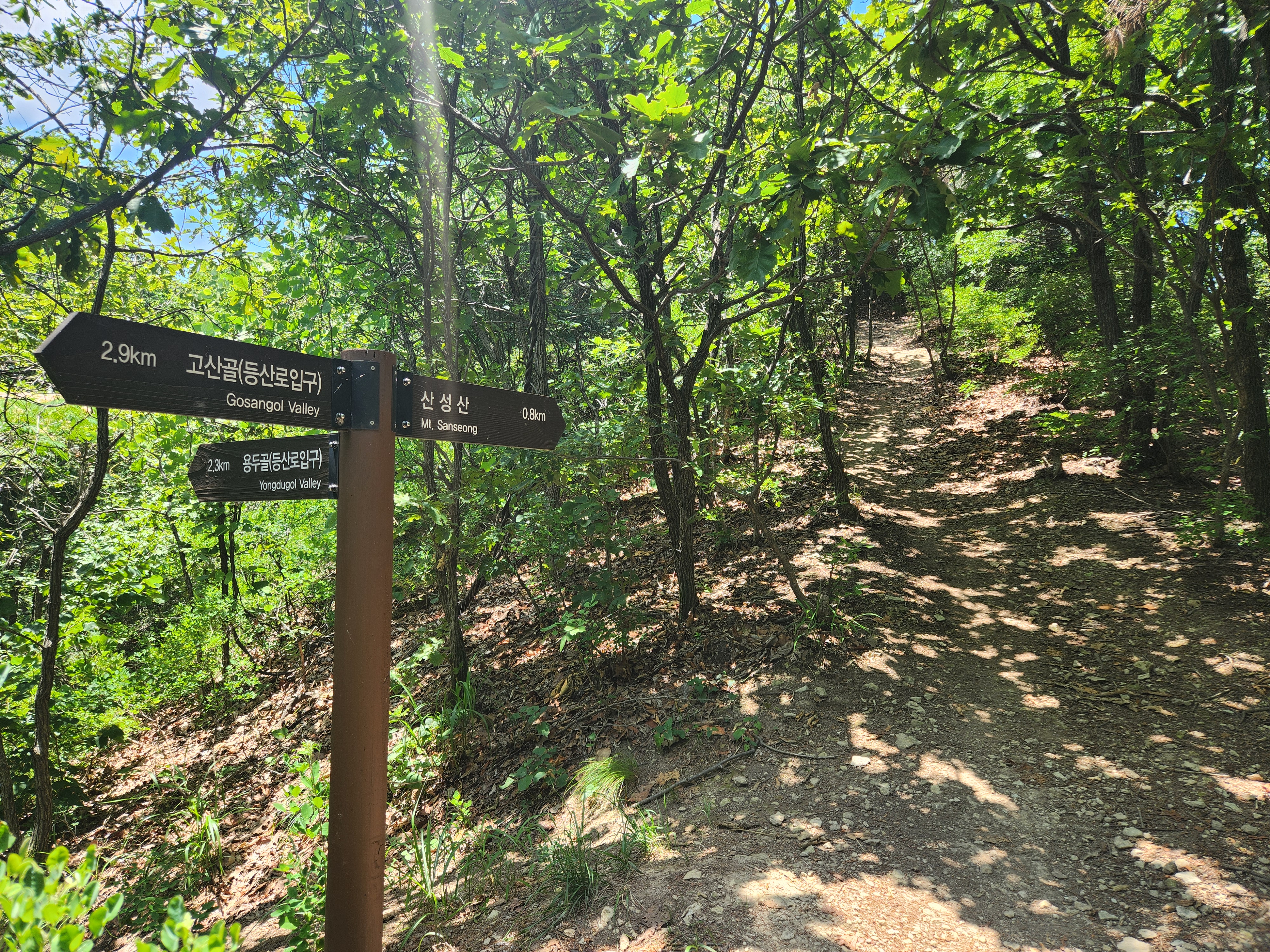 산성산 (53)