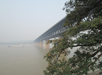 스트레스가 장 기능을 망치는 과정