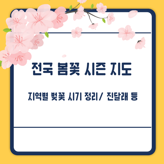 2025년 벚꽃 개화시기