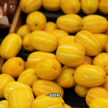 참외껍질 음식물쓰레기 인가요