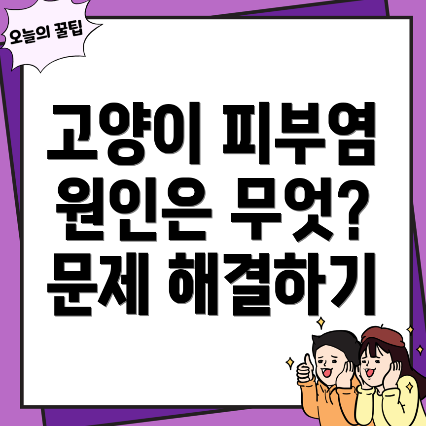 고양이 피부염