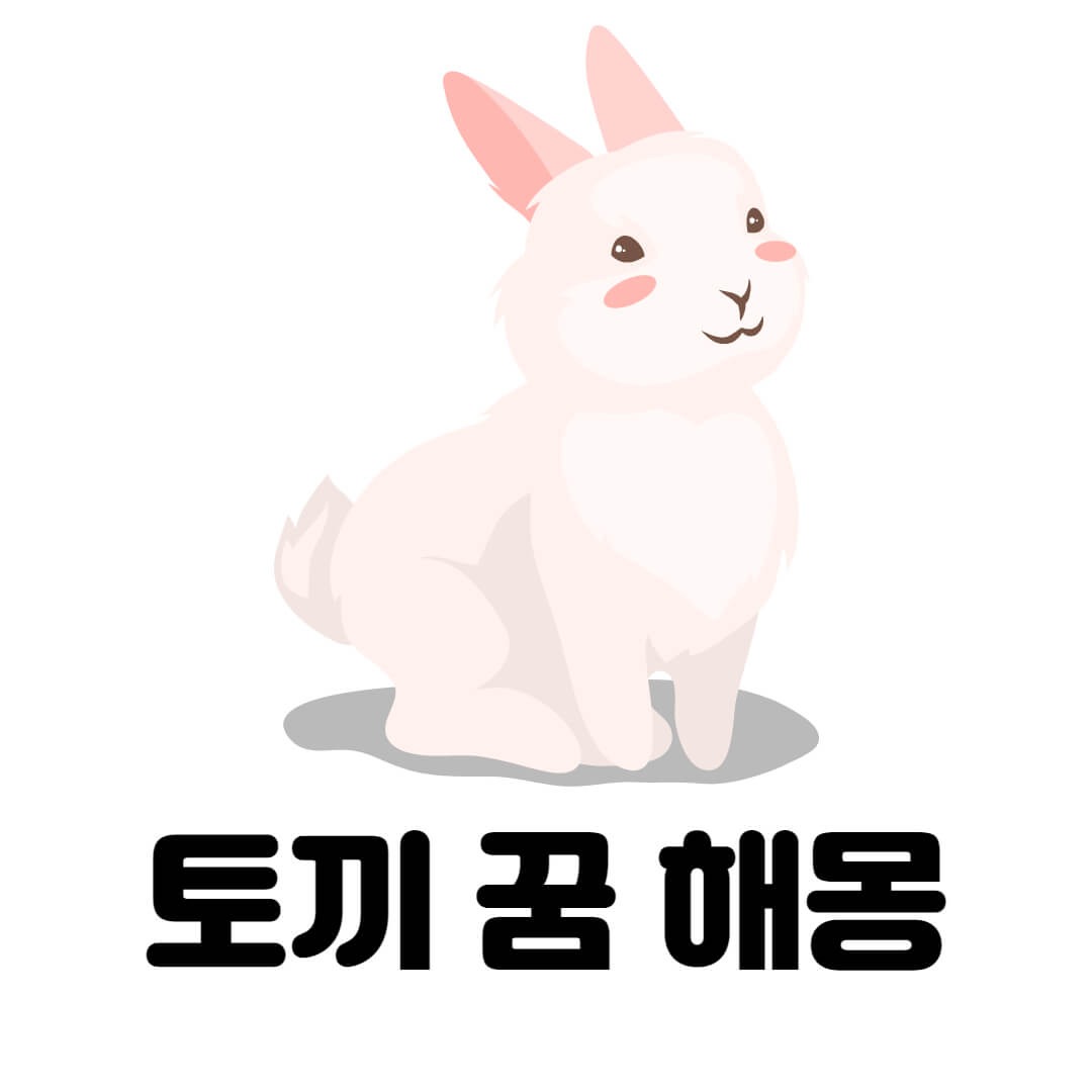 토끼 꿈해몽 시작 사진