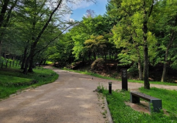 선정릉