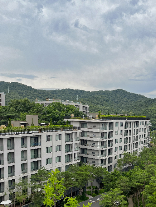 파라스파라서울