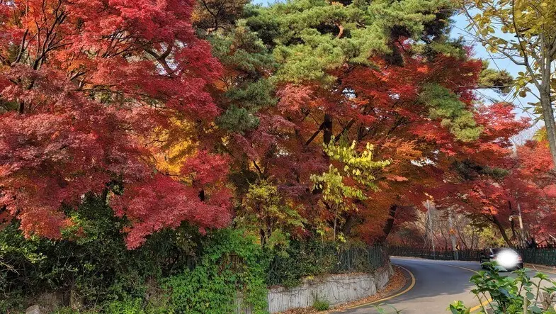 북악-스카이웨이-단풍-드라이브