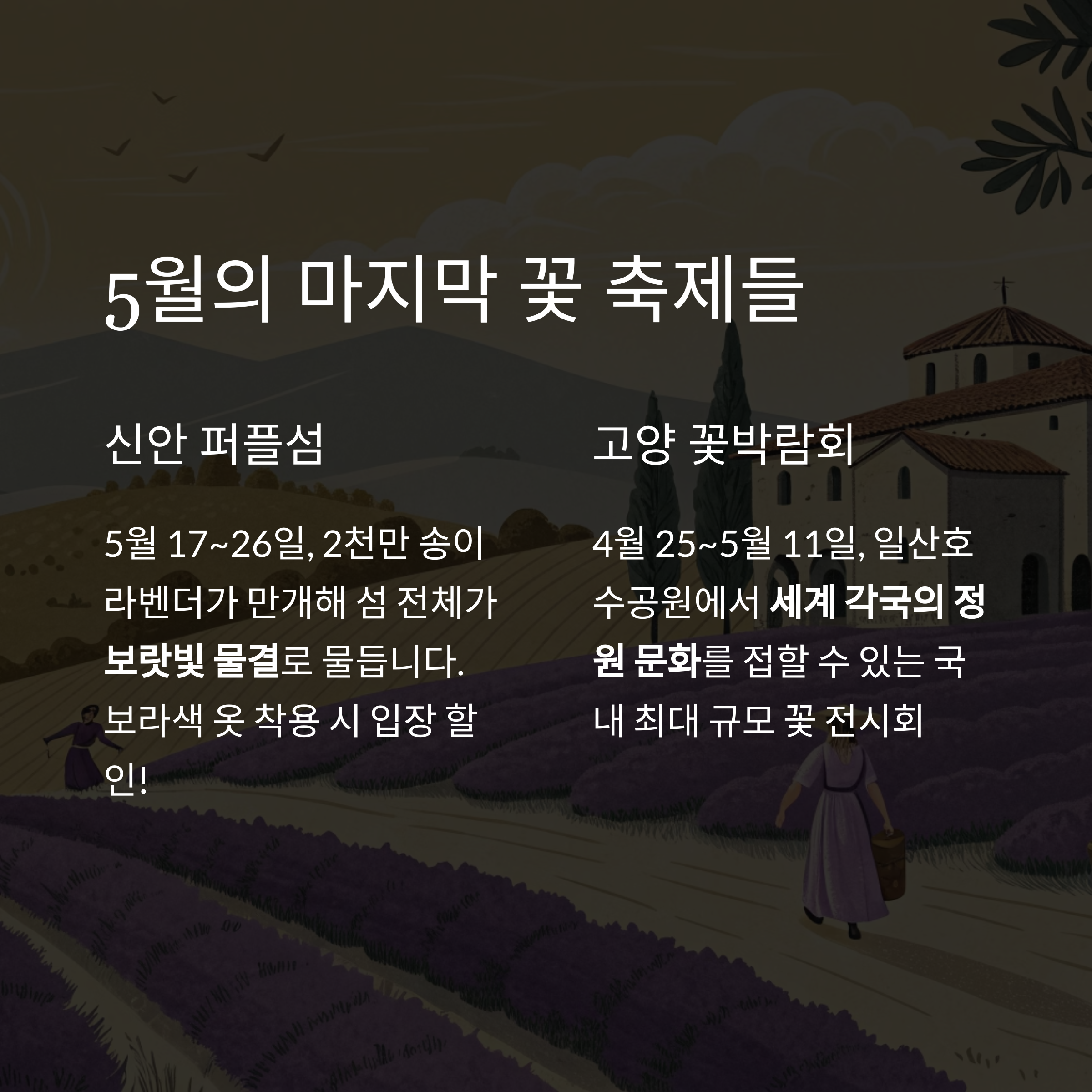 5월 꽃 축제들
