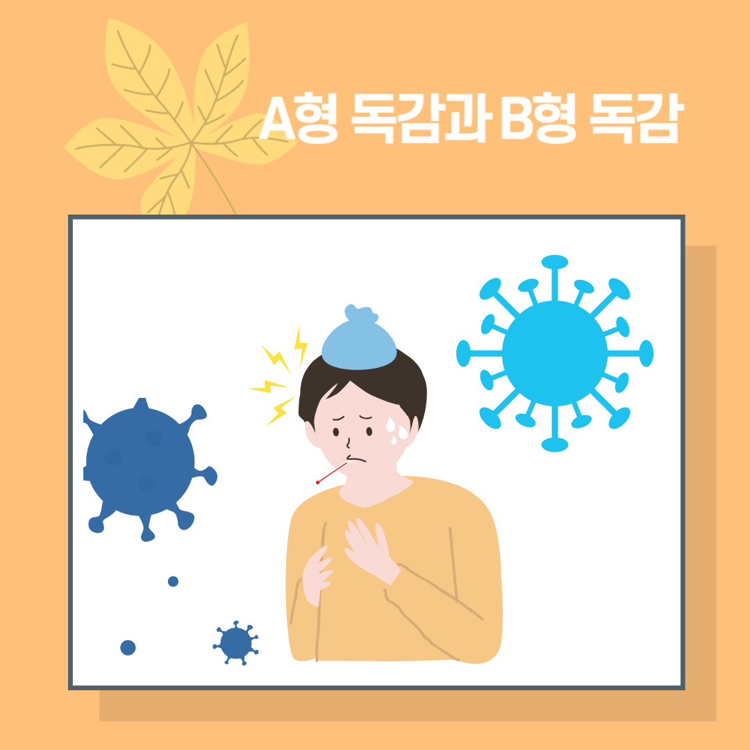 A형 독감