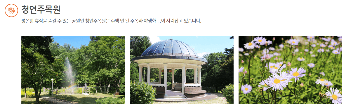 대관령 삼양목장