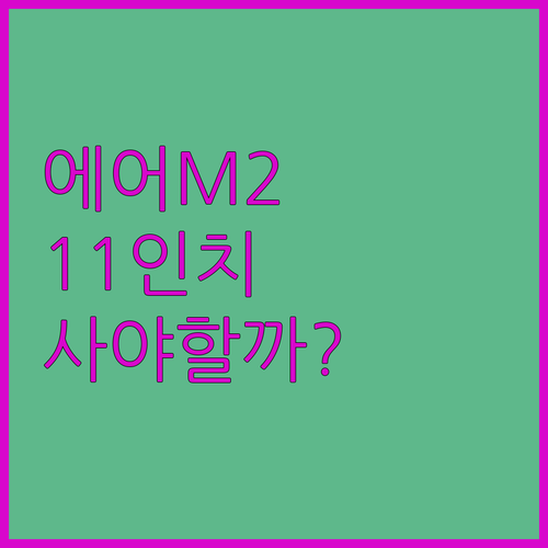 아이패드 에어 M2 11인치 구매 가..