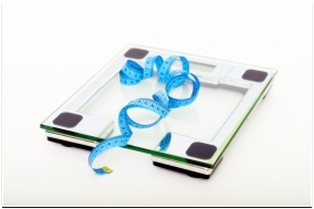 반려견 다이어트 하는법