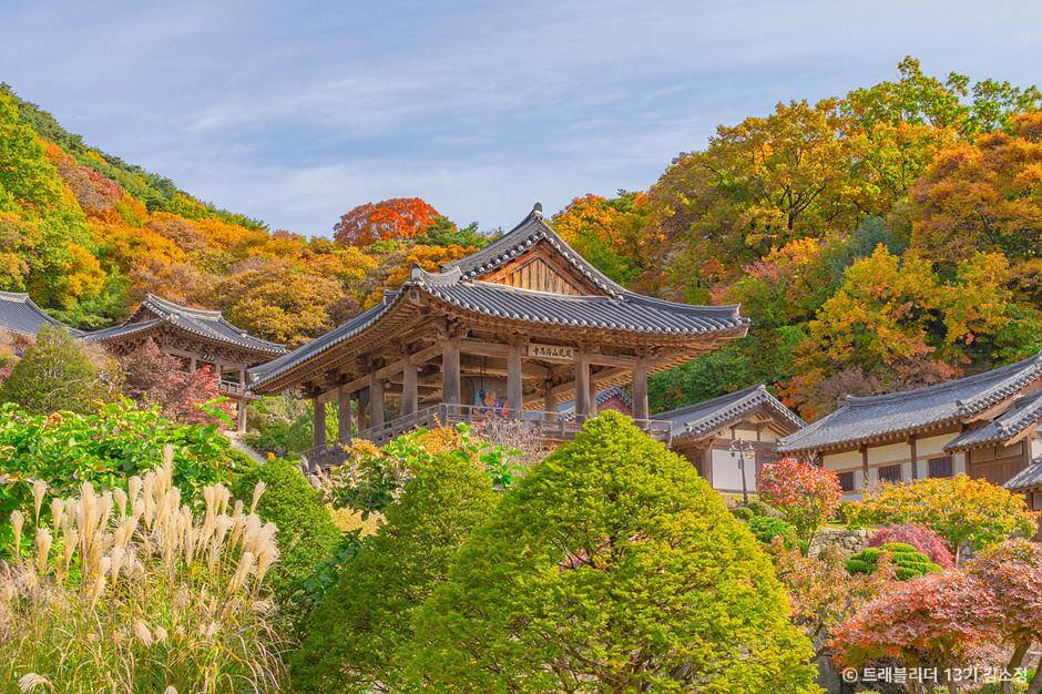 전국 단풍명소, 절정시기