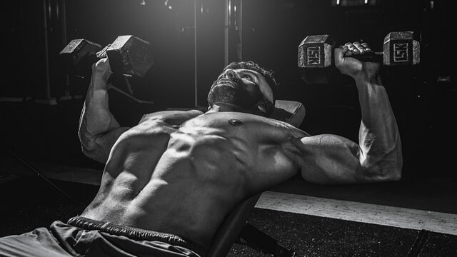 건강한 몸-근육 운동