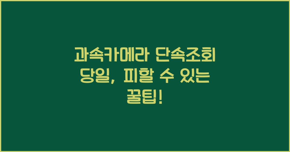 과속카메라 단속조회 당일