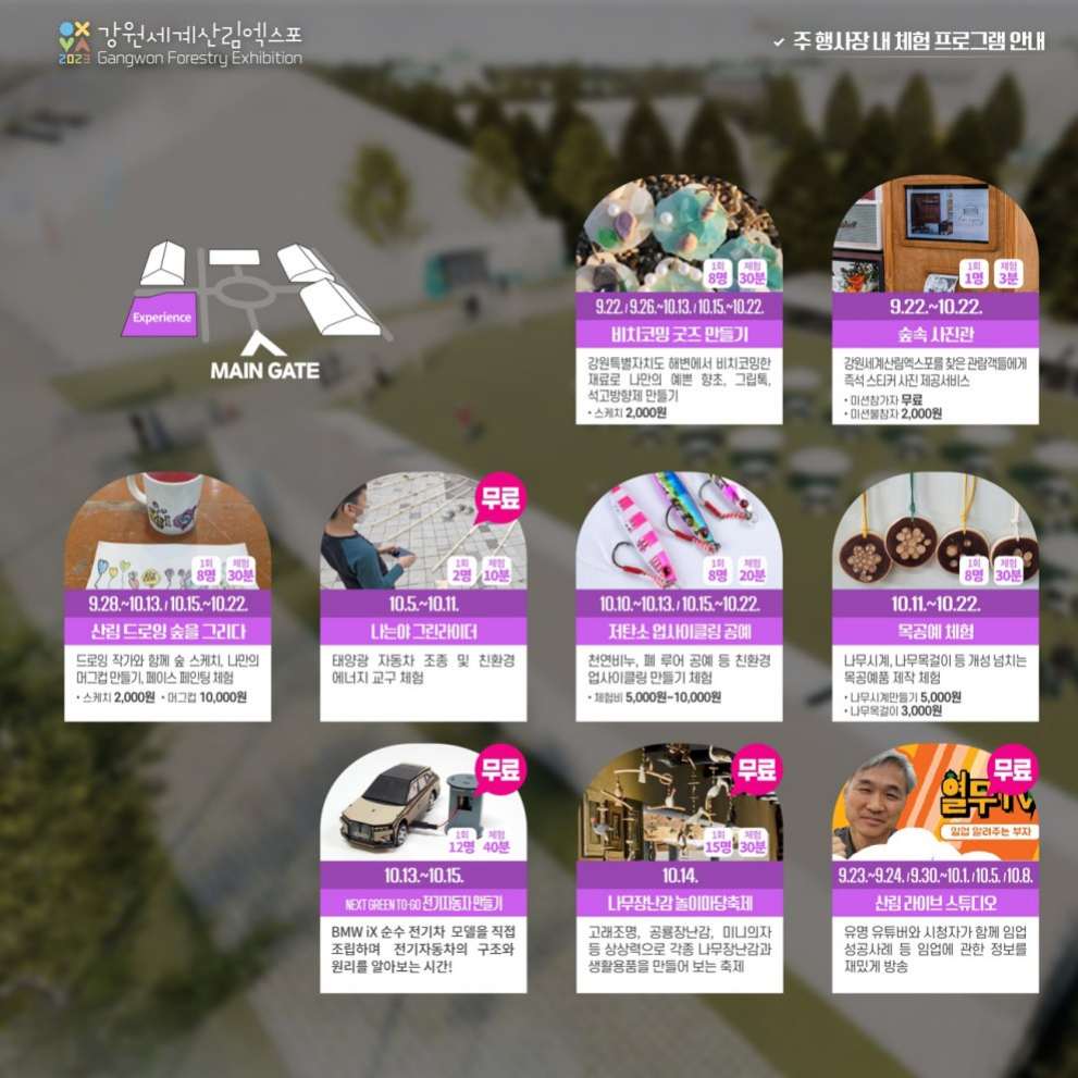 강원 세계산림엑스포