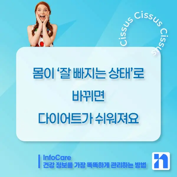 시서스 다이어트&amp;#44; 복용방법