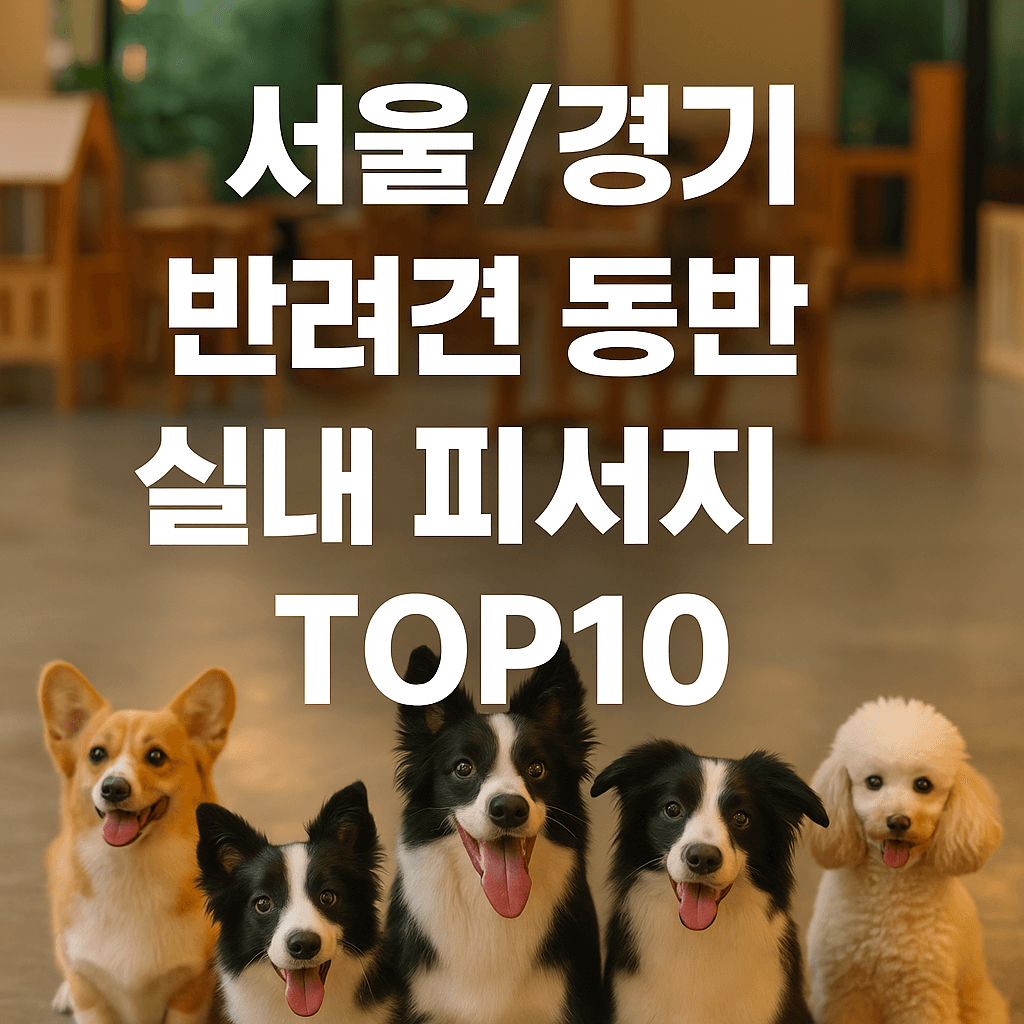 서울/경기 반려견 동반 실내 피서지 TOP10