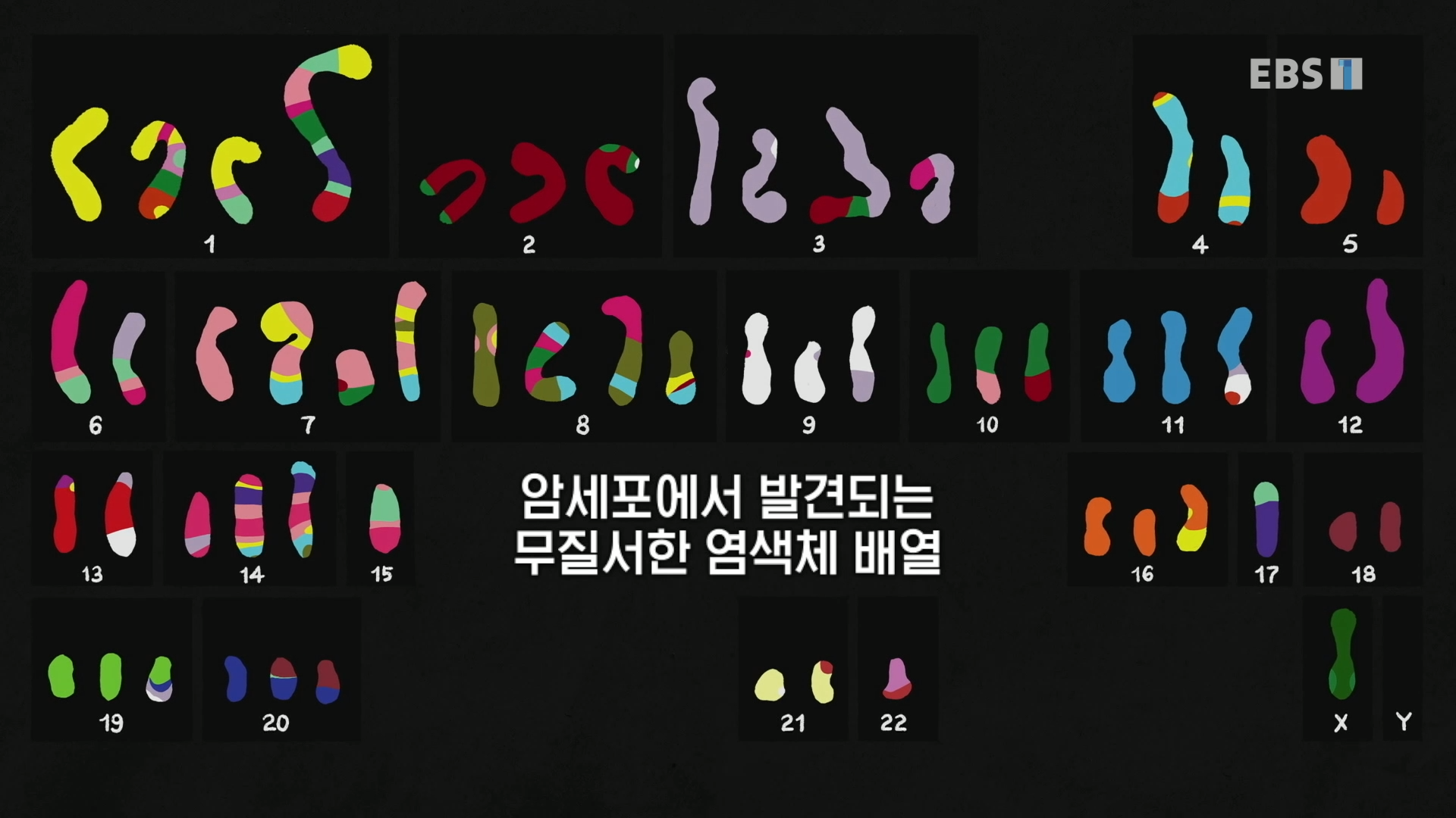 비정상적 염색체