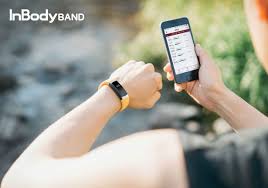 체지방률 정상범위