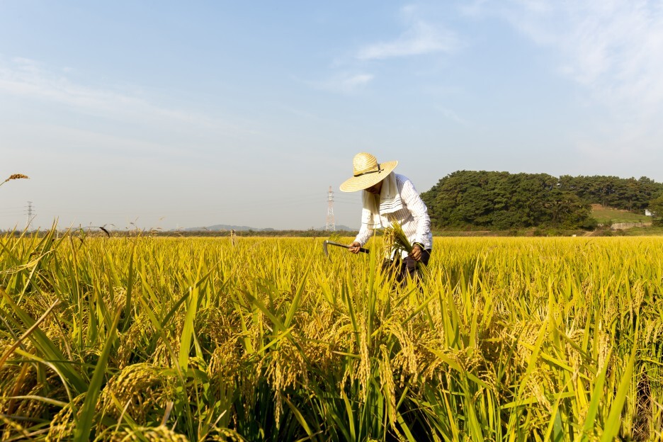 농지연금 가입