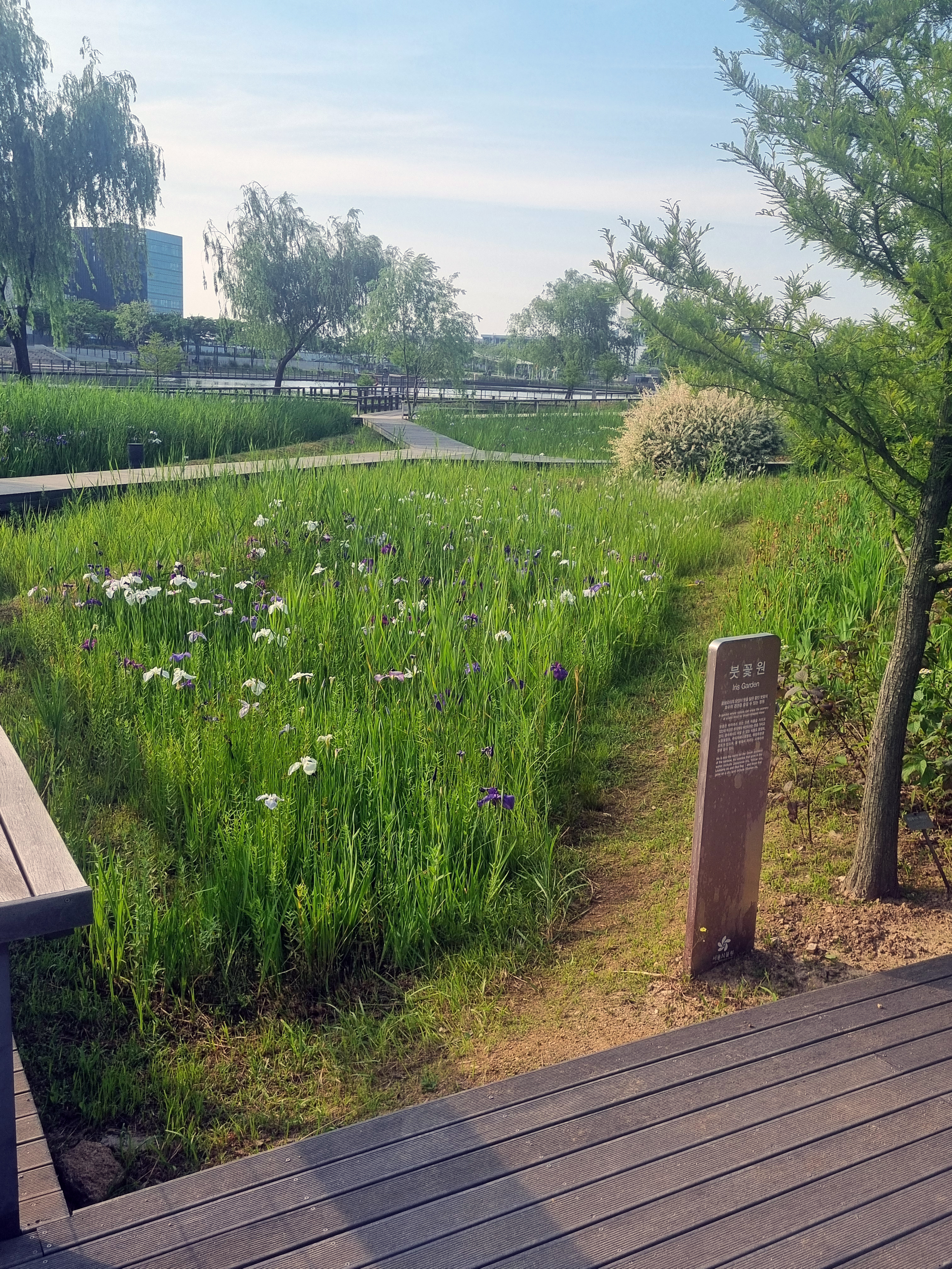 붓꽃원 입구 사진
