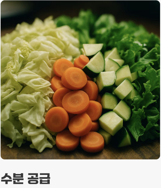 주식과 특별 간식&amp;#44; 현명한 수분 공급