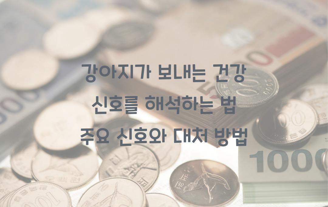 강아지가 보내는 건강 신호를 해석하는 법
