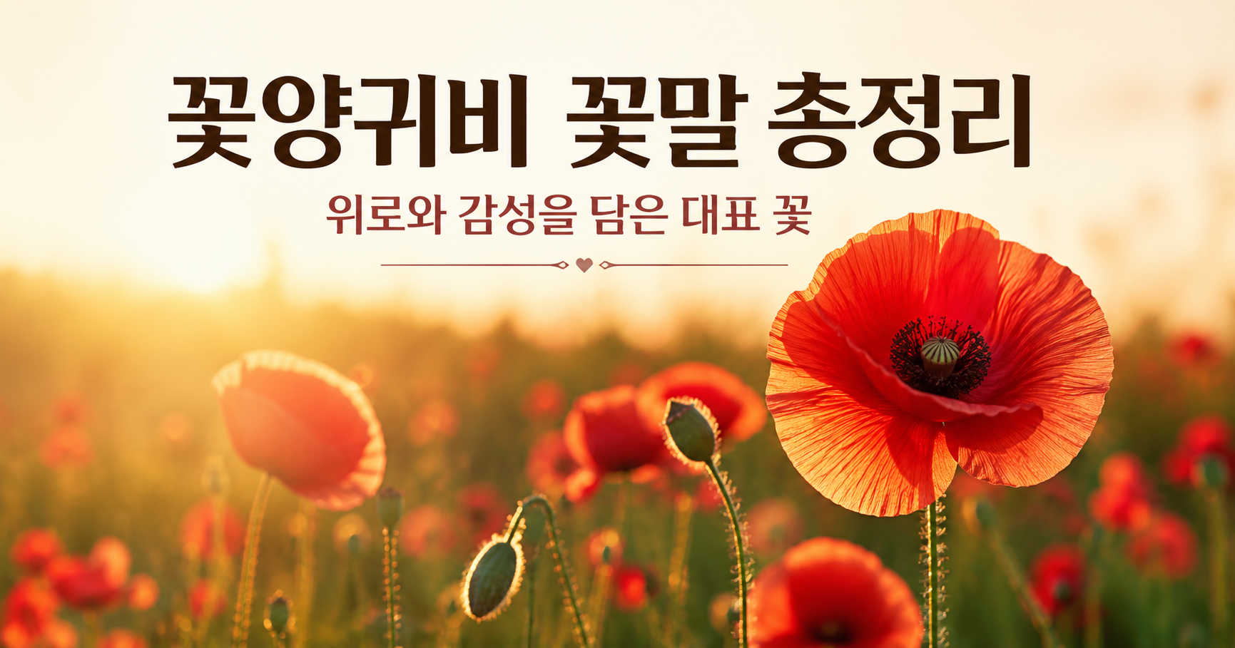 꽃양귀비 꽃말
