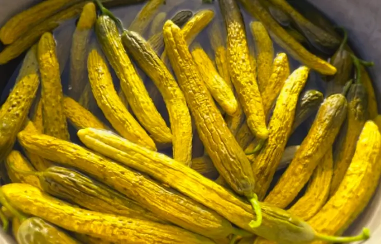 물 없이 오이지 담그는법