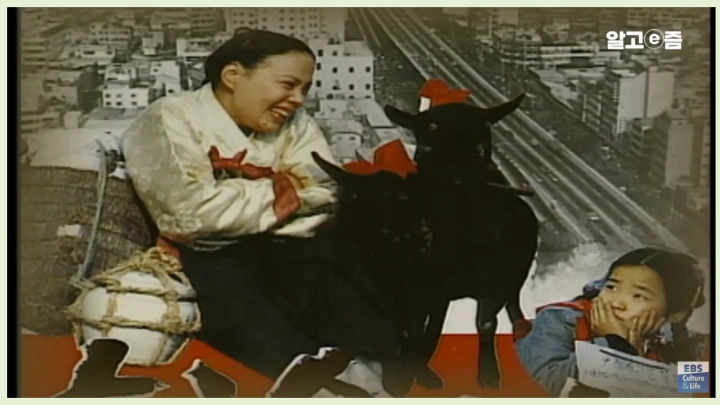 김수미-별세-이유