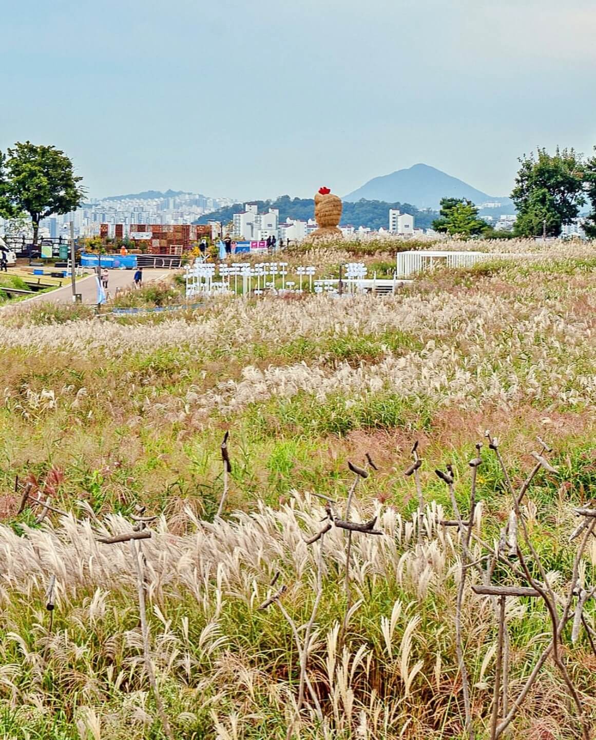 하늘공원 억새축제기간