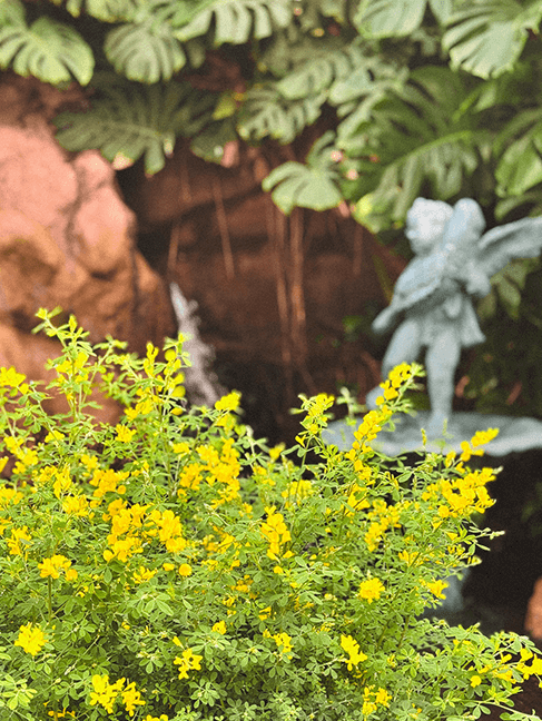 벚꽃, 철쭉, 반달곰까지 2025 베어트리파크 봄꽃축제 완전 정복