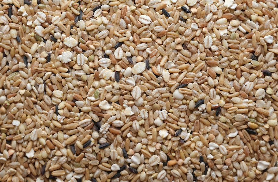 잡곡별 특징 비교