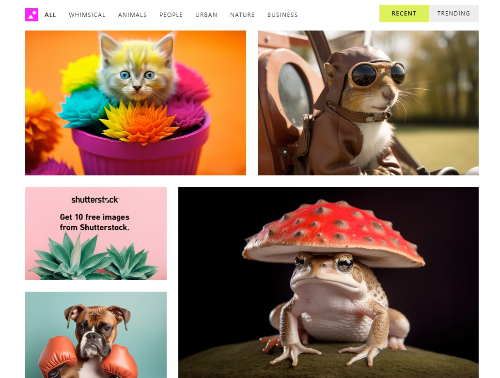 무료-이미지-사이트-그래티소그래피