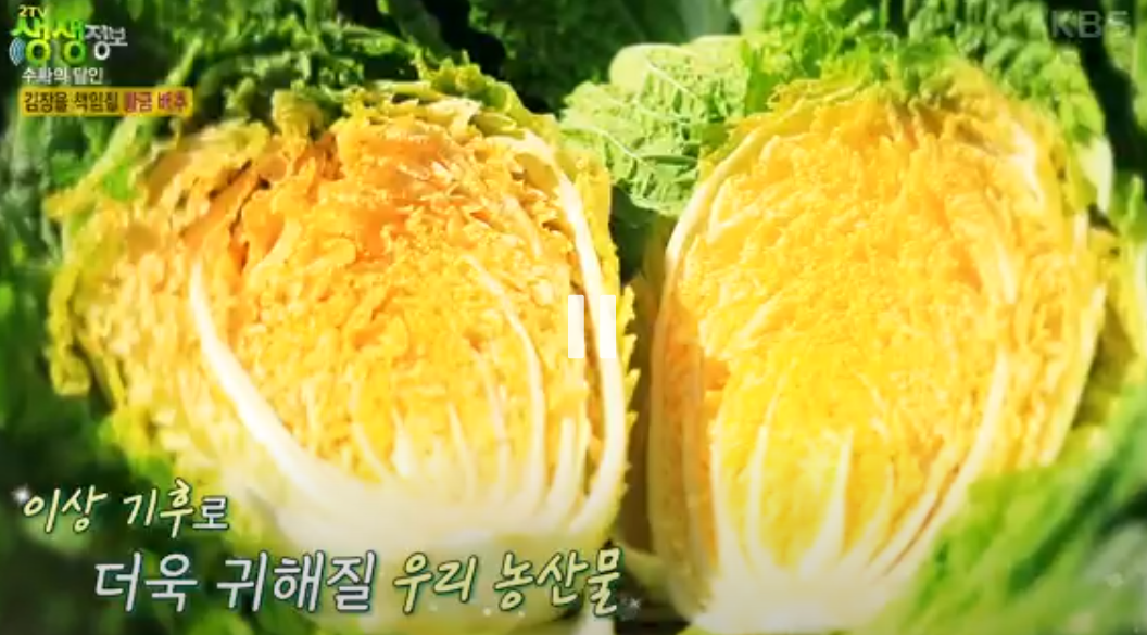 솔바위농장