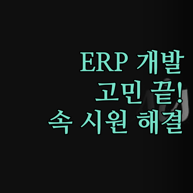 소프트웨어 개발, ERP 개발 고민