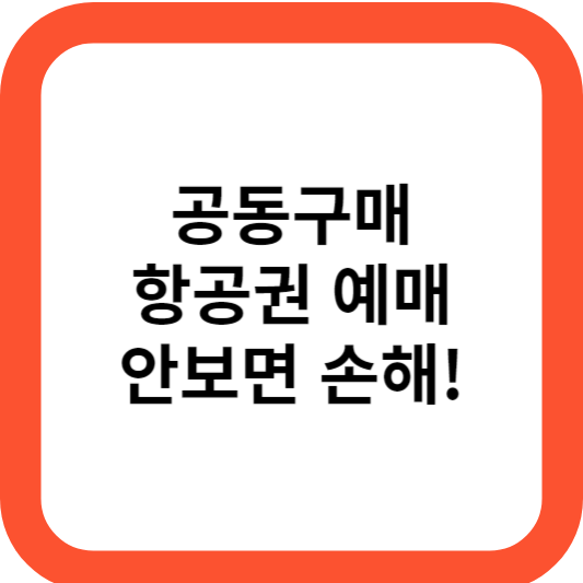 공동구매 항공권