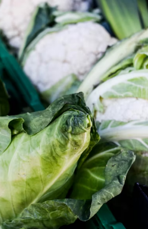 봄나물 장기 보관 마스터: 데친 취나물·쑥·냉이 향긋함 살리는 얼음 큐브 소분 팁