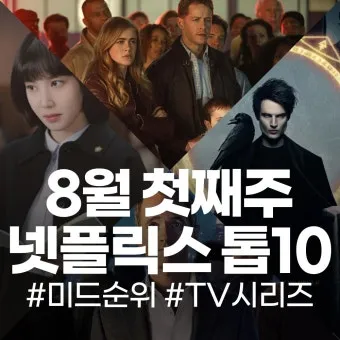 넷플릭스 순위 미드 추천 알아보기 드라마_6