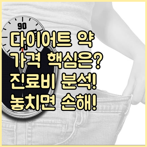 다이어트 약 처방 비용 결정 요소 진..