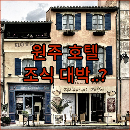 원주 호텔 추천 베스트 5 위치와 조..