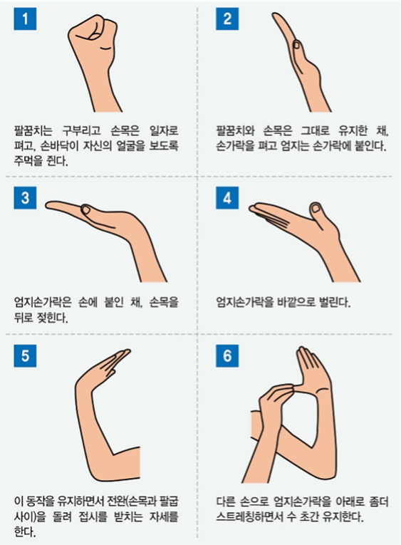 손목스트레칭