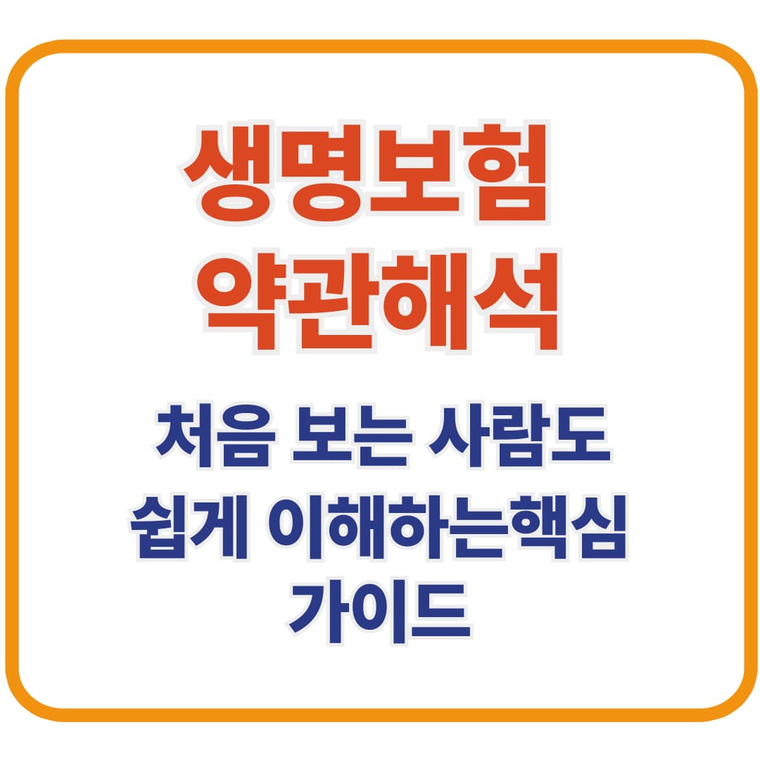 생명보험 약관 해석 / 처음 보는 사람도 쉽게 이해하는 핵심 가이드